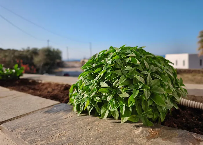 Ektoras House 度假居 圣约阿尼斯